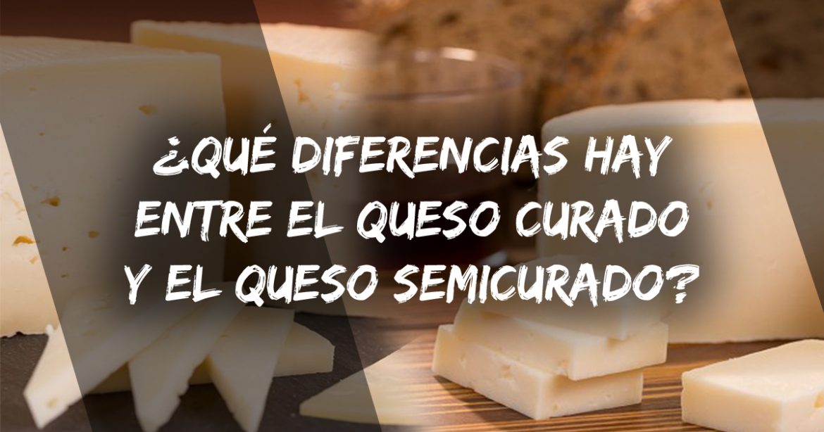 ¿Qué Diferencias Hay Entre Queso Curado Y Queso Semicurado ...